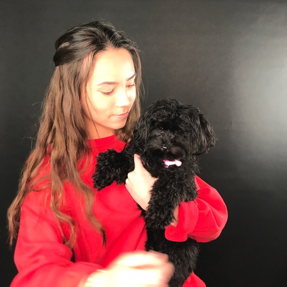 Meet your Posher, Maddy - Picture 1 of 1